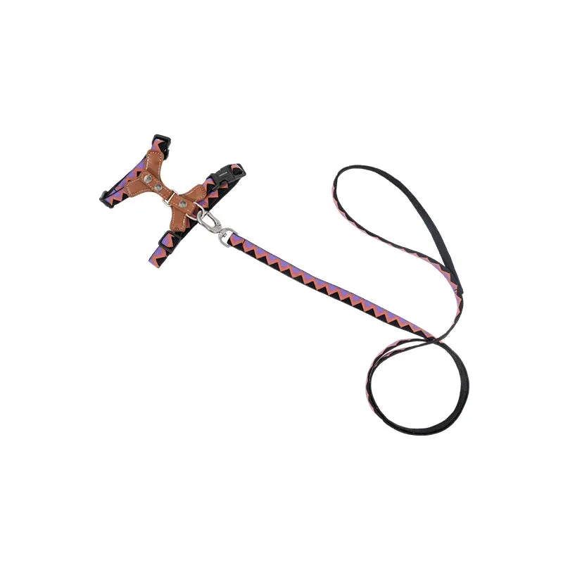HiDream® | Leather Light Cat Harness and Leash Set