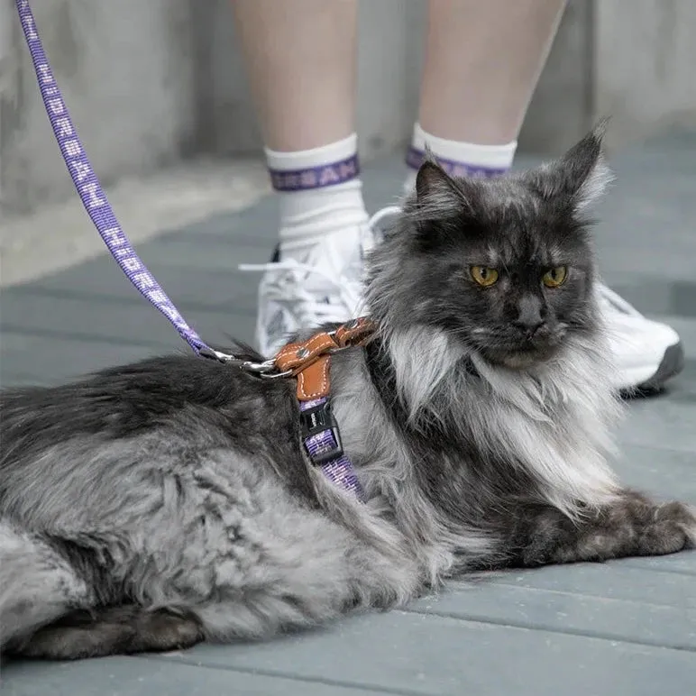 HiDream® | Leather Light Cat Harness and Leash Set