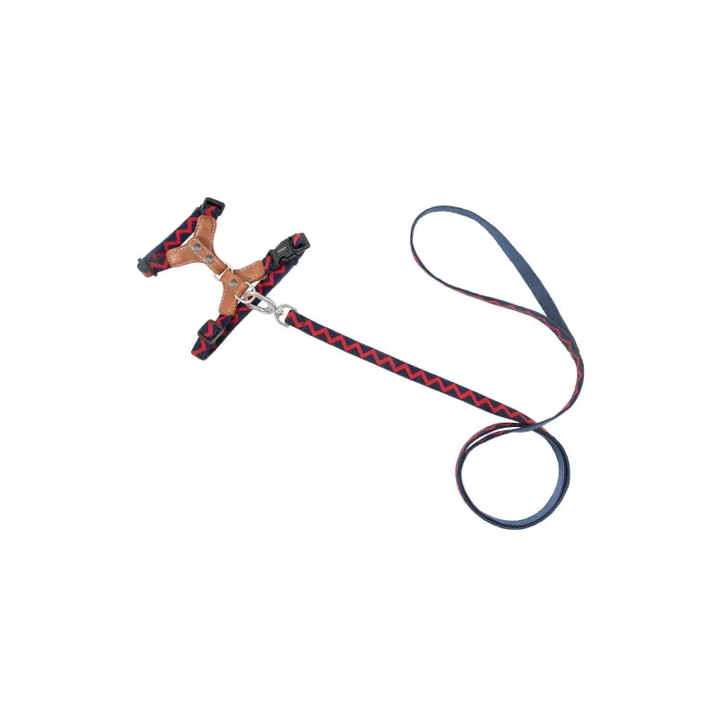 HiDream® | Leather Light Cat Harness and Leash Set
