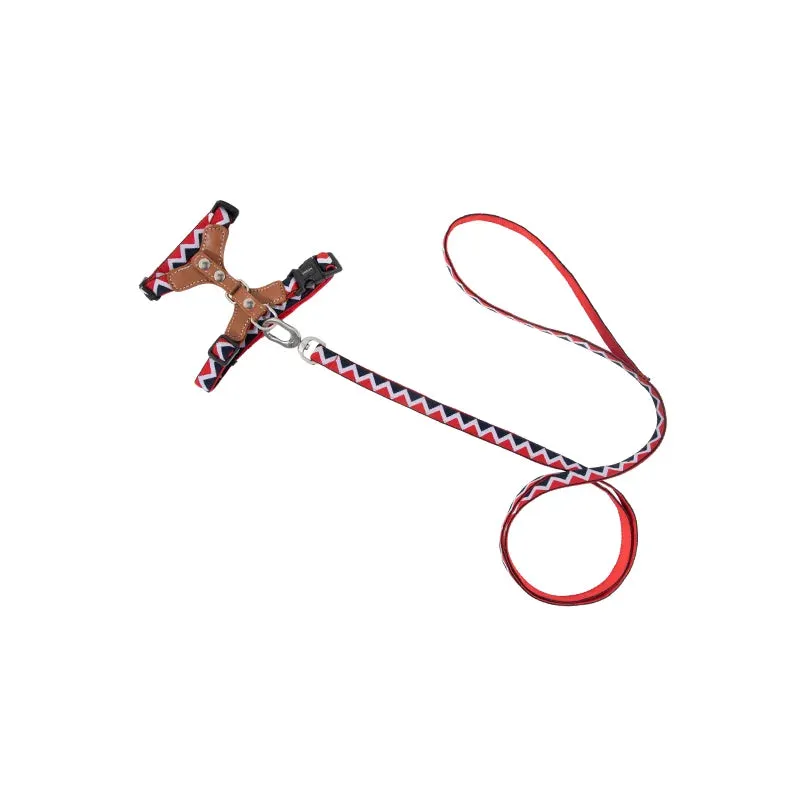 HiDream® | Leather Light Cat Harness and Leash Set
