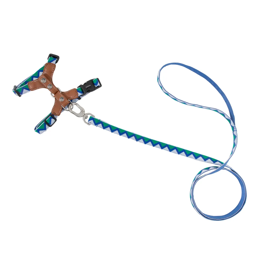 HiDream® | Leather Light Cat Harness and Leash Set