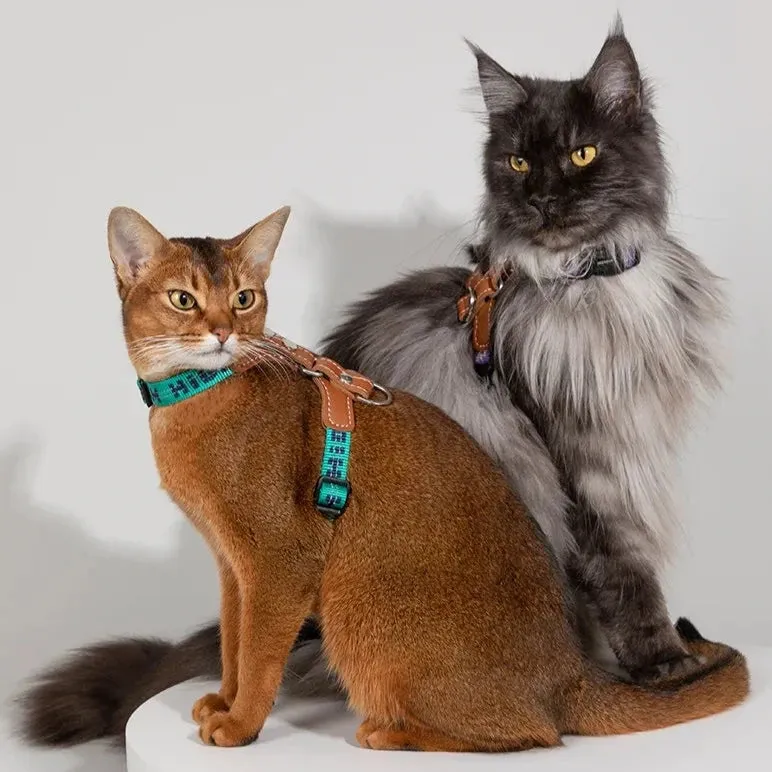 HiDream® | Leather Light Cat Harness and Leash Set