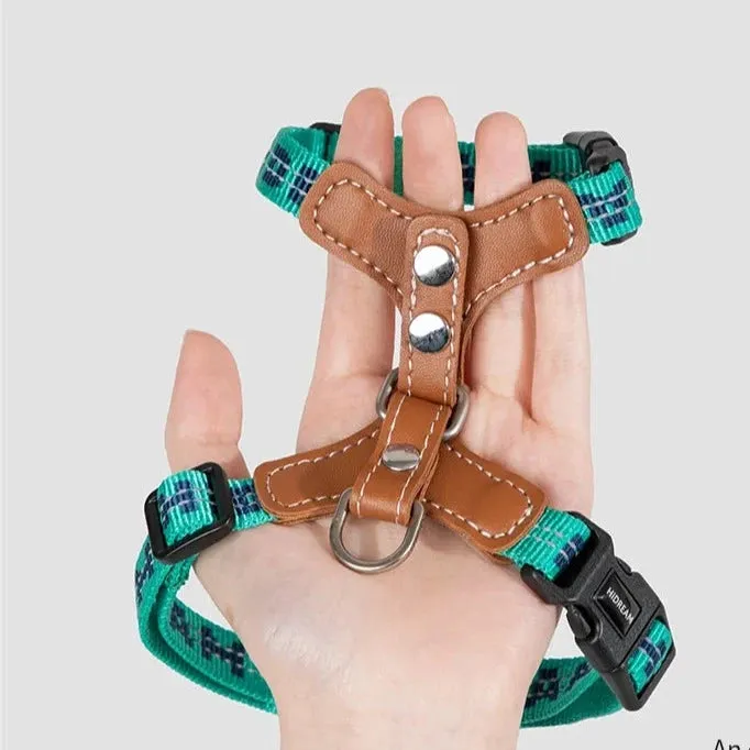 HiDream® | Leather Light Cat Harness and Leash Set