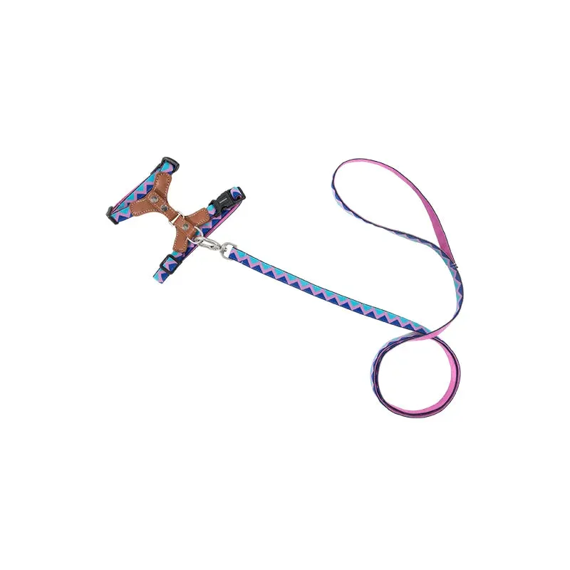HiDream® | Leather Light Cat Harness and Leash Set