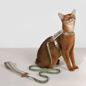 HiDream® | Rainbow Cat Harness and Leash Set