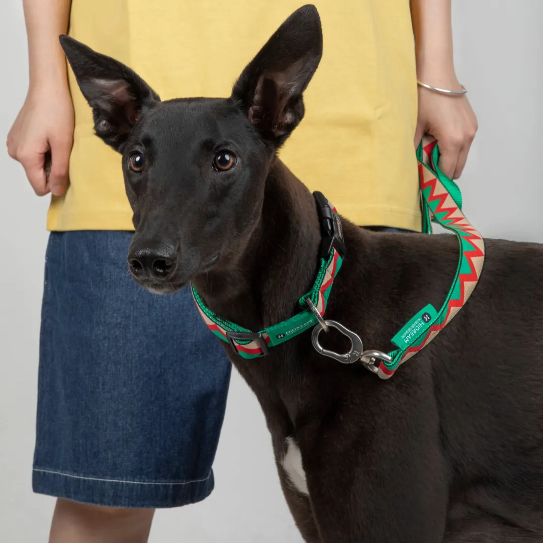 HiDream® | Rainbow Collection Dog Leash