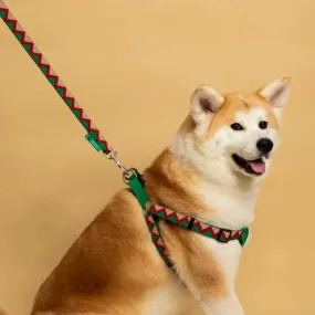 HiDream® | Rainbow Collection Dog Leash