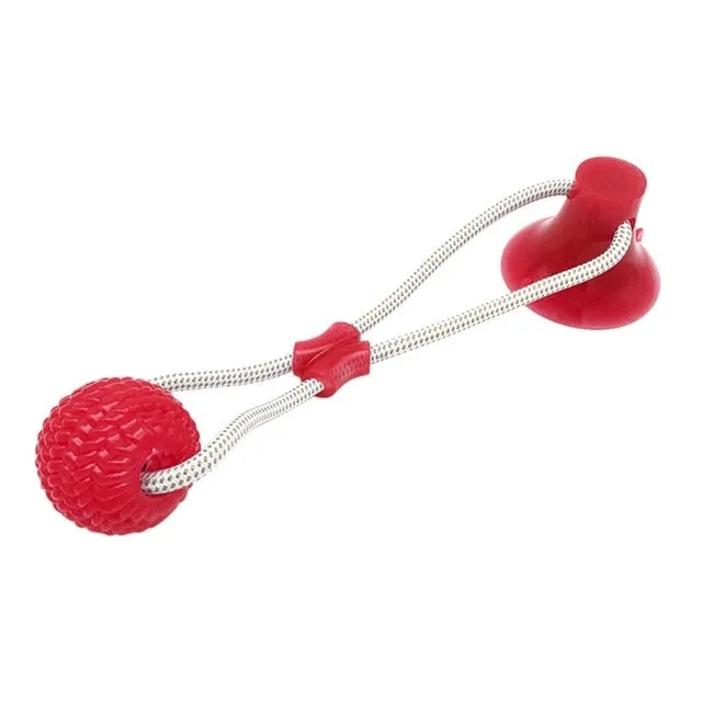Pet Cats Dogs Interactive Suction Cup, Push Ball Toys, Elastic Ropes, Pet Tooth Cleaning, Chewing, Playing, IQ, Treat, Puppy Toys